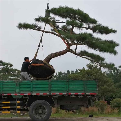 裝車現(xiàn)場